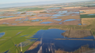 Provincia declaró la emergencia agropecuaria en 9 de Julio por las inundaciones