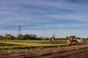 Última semana de inscripción para el Proyectar V