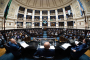 Diputados BA aprobó proyecto que regula actividad de acompañantes terapéuticos