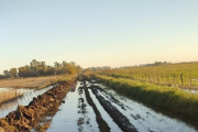 9 de Julio: fuerte reclamo por estado de caminos rurales y falta de obras hidráulicas