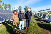 Avance clave en Alberti: instalan los últimos paneles del nuevo Parque Solar en el predio de reciclado