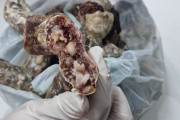 Brote de triquinosis en Lincoln: ya son 27 los casos sospechosos