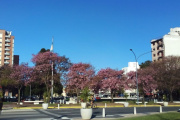 Presentan en la UNNOBA el libro que propone a Junín como nueva capital de la provincia de Buenos Aires